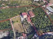 Terreno in vendita a Reggio Calabria RC