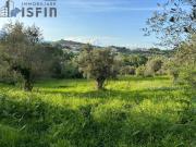 Terreno in vendita a Rende CS