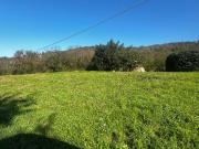 Terreno in vendita a Riccò del Golfo di Spezia SP