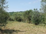 Terreno in vendita a Rignano Flaminio RM