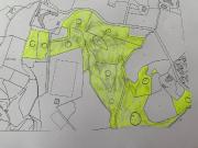 Terreno in vendita a Riparbella PI