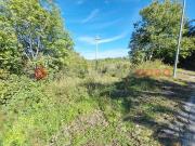 Terreno in vendita a Rocca Sinibalda RI