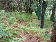 Terreno Agricolo in vendita a Roccaforte Mondov