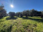 Terreno in vendita a Roma RM