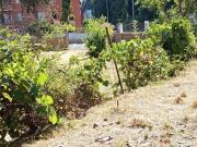 Terreno in vendita a Roma RM