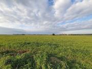 Terreno in vendita a Roma RM