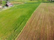 Terreno in vendita a Roma RM