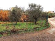 Terreno in vendita a Roma RM