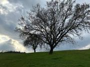 Terreno in vendita a Roma RM