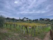Terreno in vendita a Roma RM