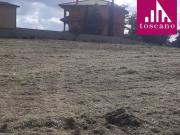 Terreno in vendita a Roma RM