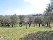 Terreno in vendita a Roma RM