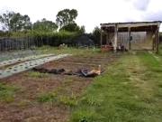 Terreno in vendita a Roma RM