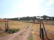 Terreno in vendita a Roma RM