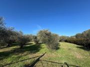 Terreno in vendita a Roma RM