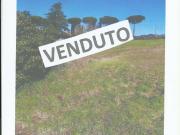 Terreno in vendita a Roma RM