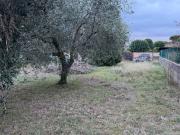 Terreno in vendita a Roma RM