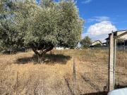 Terreno in vendita a Roma RM