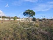 Terreno in vendita a Roma RM