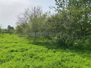 Terreno in vendita a Roma RM