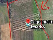 Terreno in vendita a Roma RM