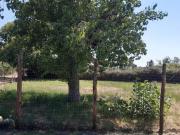 Terreno in vendita a Roma RM