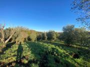 Terreno in vendita a Roma RM