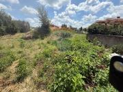 Terreno in vendita a Roma RM