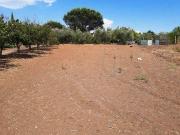 Terreno in vendita a Roma RM