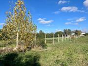 Terreno in vendita a Roma RM