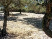 Terreno in vendita a Roma RM