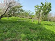 Terreno in vendita a Roma RM