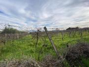 Terreno in vendita a Roma RM