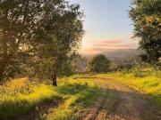 Terreno in vendita a Roma RM