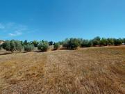 Terreno in vendita a Roma RM Terreno in vendita a Roma RM