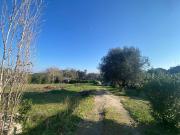 Terreno in vendita a Roma RM