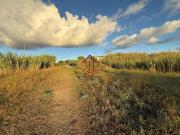 Terreno in vendita a Roma RM