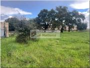 Terreno in vendita a Roma RM