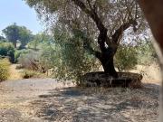 Terreno in vendita a Roma RM