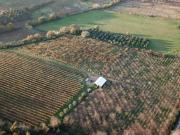 Terreno in vendita a Roma RM