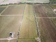 Terreno in vendita a Roma RM