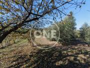 Terreno in vendita a Roma RM