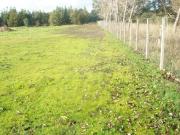 Terreno in vendita a Roma RM