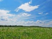 Terreno in vendita a Roma RM