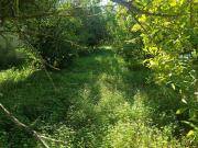 Terreno in vendita a Rometta ME