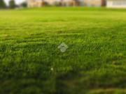 Terreno in vendita a Roncade TV