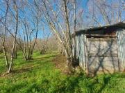 Terreno in vendita a Ronciglione VT