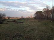 Terreno in vendita a Ronco all'Adige VR