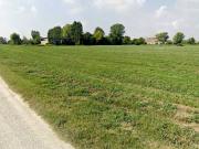 Terreno in vendita a Roncoferraro MN