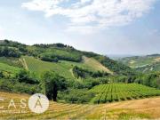 Terreno in vendita a Roncofreddo FC